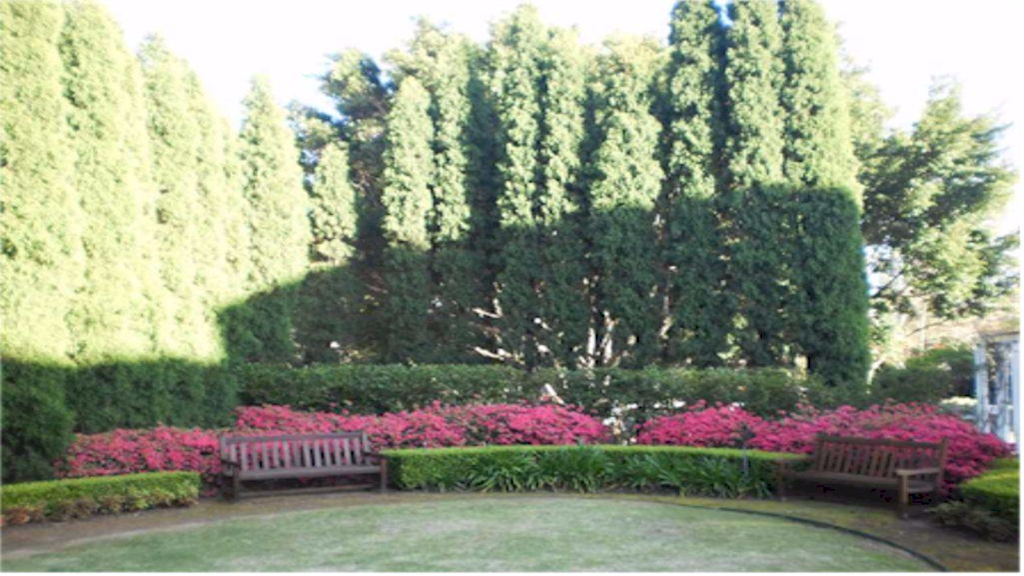 Iora gardens